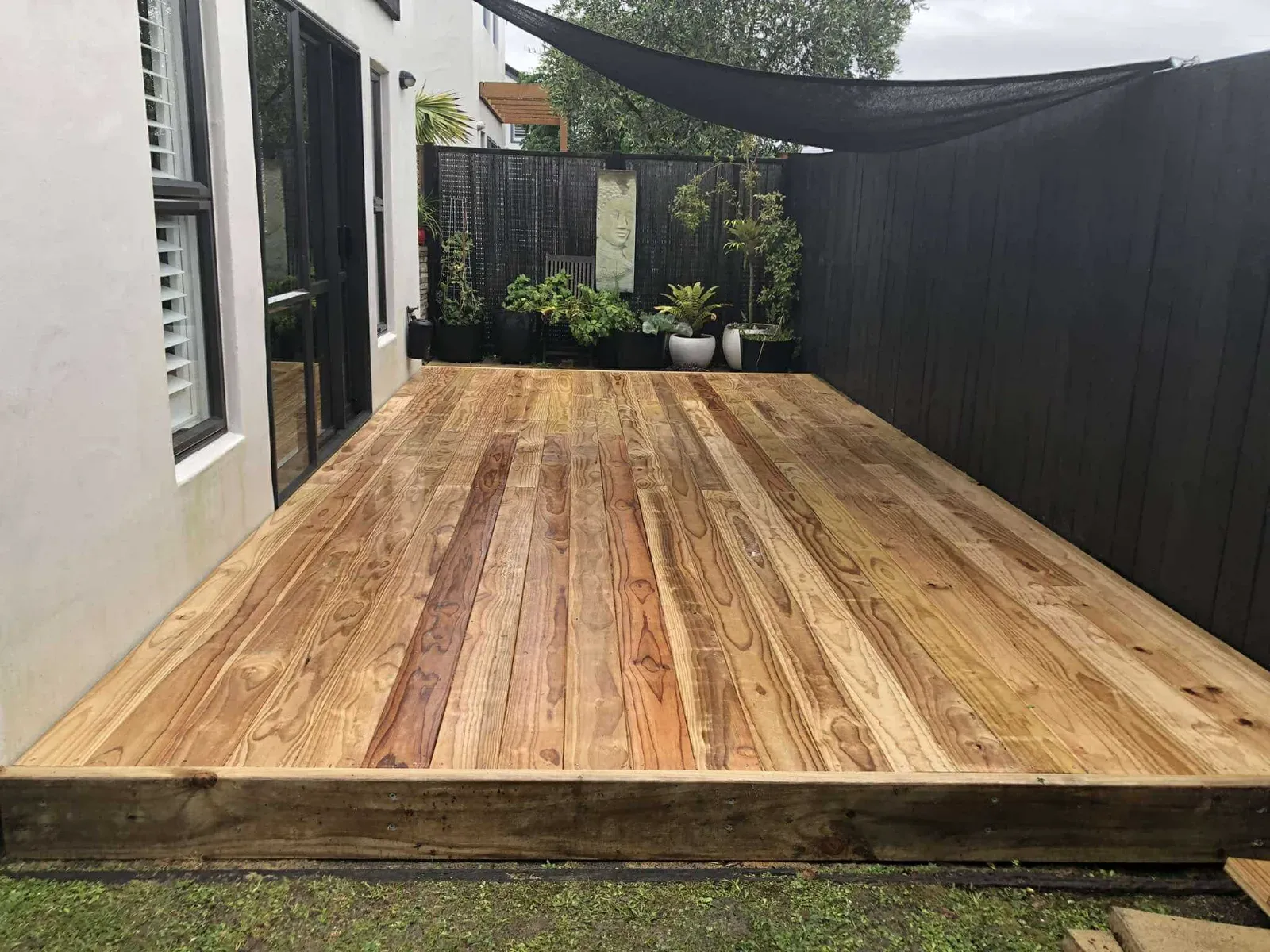 Pine courtyard deck built by Auckland Decks